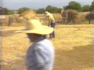CAMPO (84)  LABRANZA